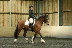 Isis Dressage Crown Farm Show 29th April 2012